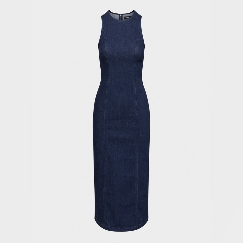 Aritzia Westin’s Denim Dress in No-Stress Dark Blue